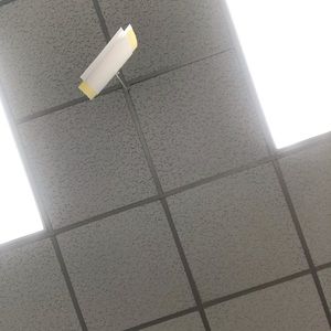 Meet your Posher, Marlene